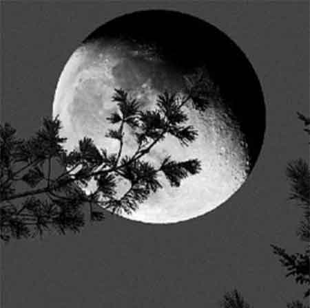 دانلود آهنگ فلک بسه علی رزاقی